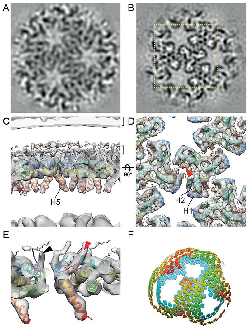 Fig. 3