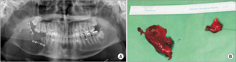 Fig. 8