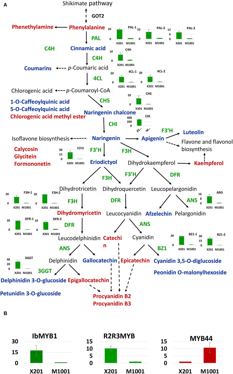 Figure 6