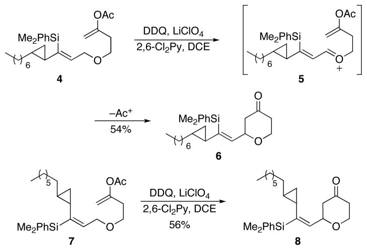 Scheme 3