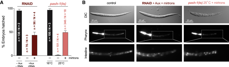 Figure 3