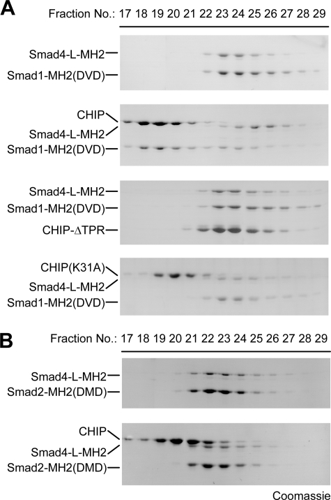 FIGURE 7.