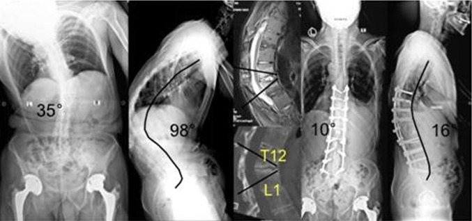 Fig. 8