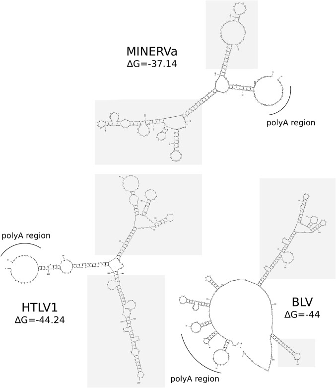 Fig. S2.