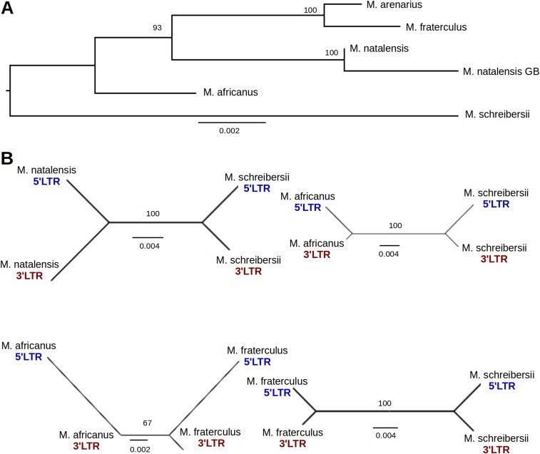 Fig. S4.