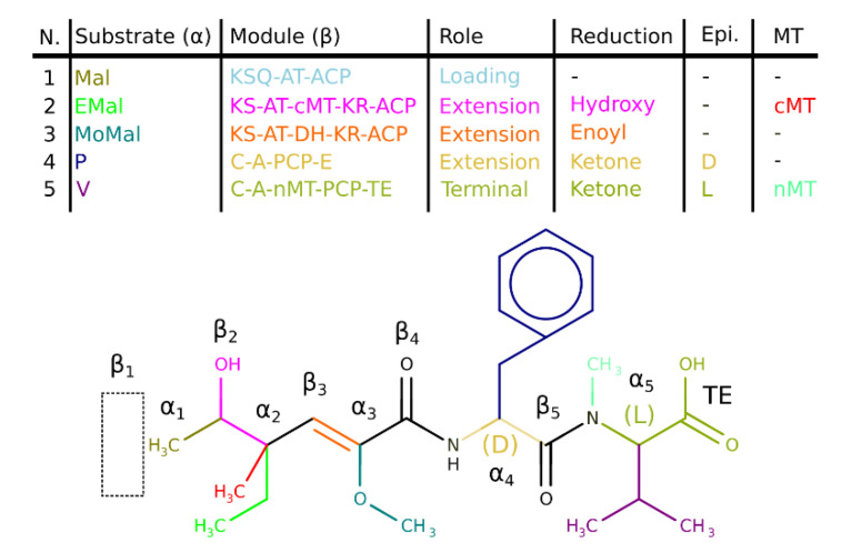 Figure 6