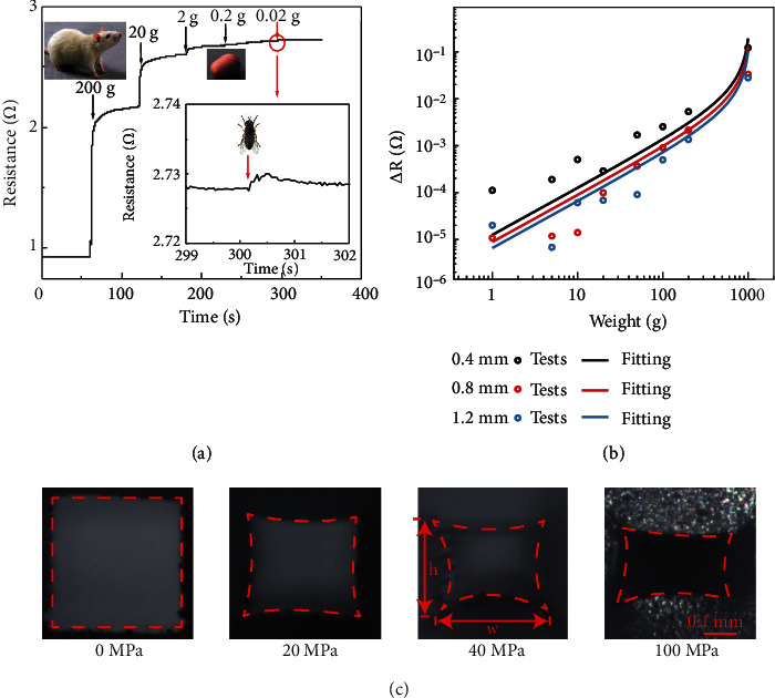 Figure 5