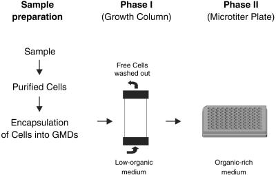 Fig 1.