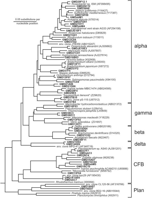 Fig 3.