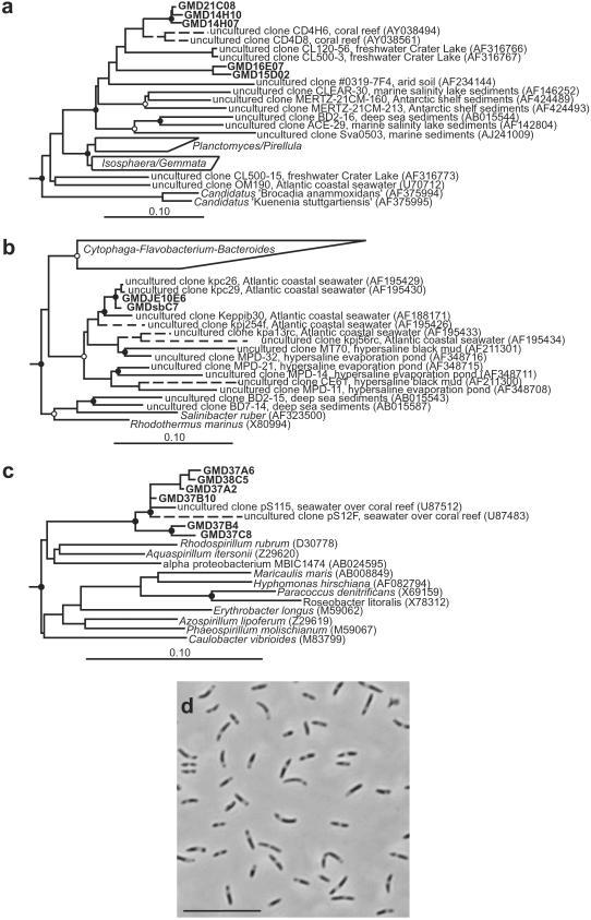 Fig 4.