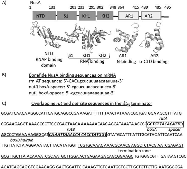 FIGURE 1.