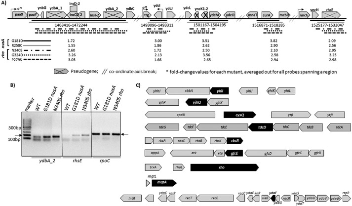 FIGURE 9.