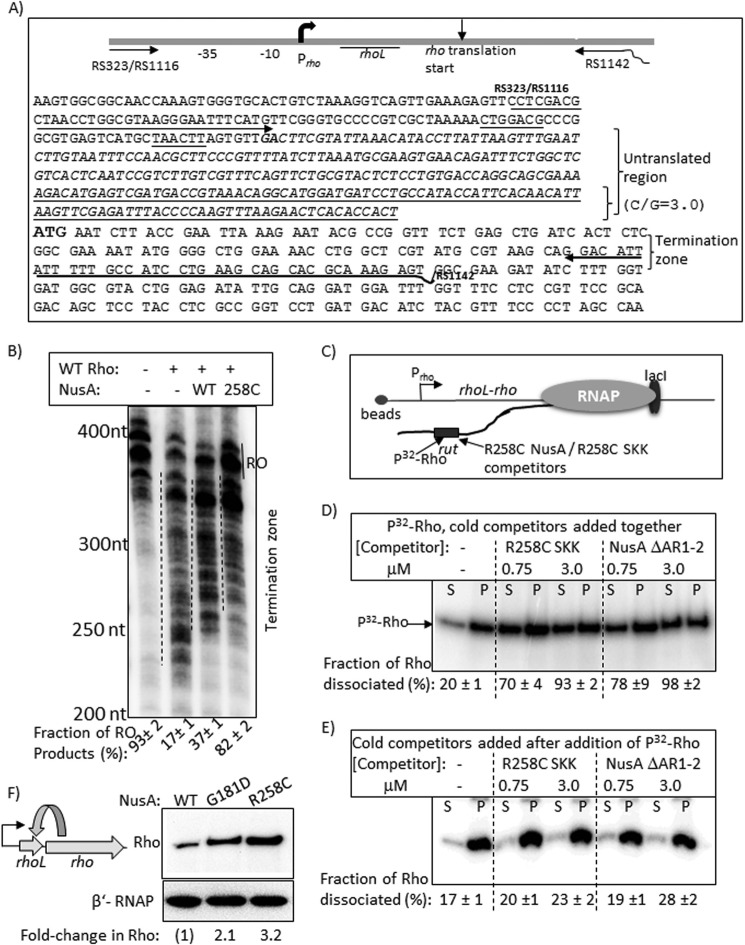 FIGURE 10.