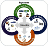 Figure 1 is a flowchart titled Exposome with four steps. Step 1: The natural and built environment, including buildings, rivers, forests, and factories. Step 2: Consider the social environment, which includes education, currency, and population. Step 3: The chemical environment, which includes medical, chemical, and radioactive elements. Step 4: Health behaviors, including sleeping, eating, alcohol consumption, and exercise routine. All the steps are interrelated with genetics. An icon of genetics appears in the middle of the figure, with arrows pointing to all four steps.