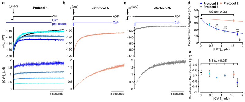 Extended Data Figure 5.