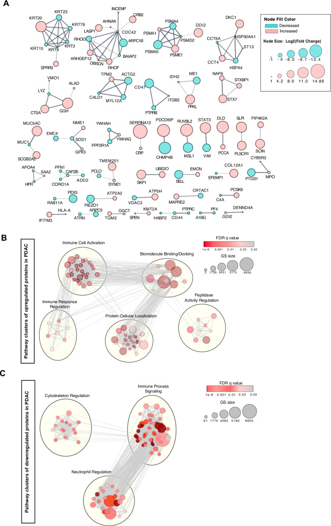 Figure 2—figure supplement 2.