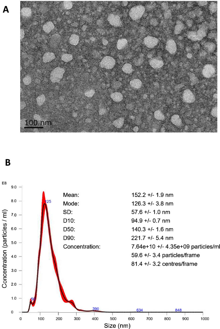 Figure 1—figure supplement 1.