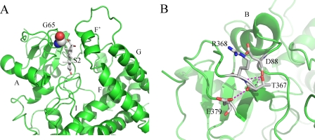 FIGURE 8.