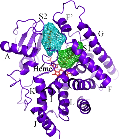 FIGURE 5.