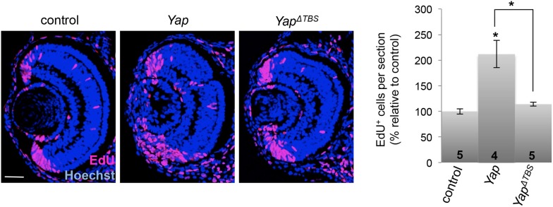 Figure 1—figure supplement 3.