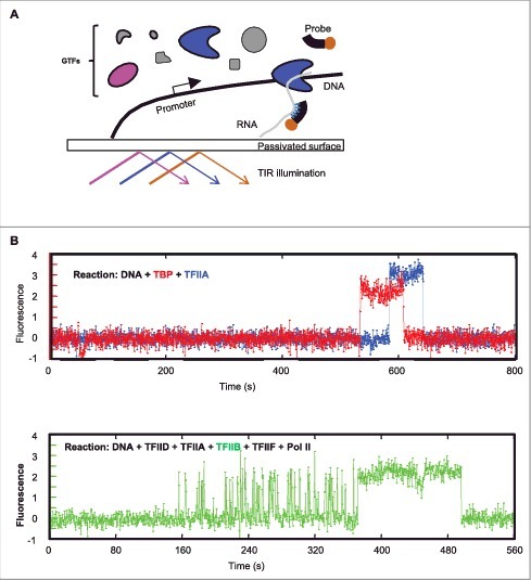 Figure 2.