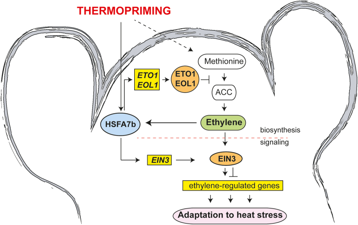 Figure 6