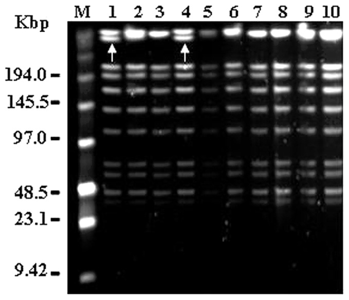 FIGURE 3