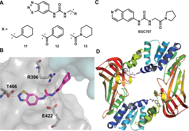 Figure 24