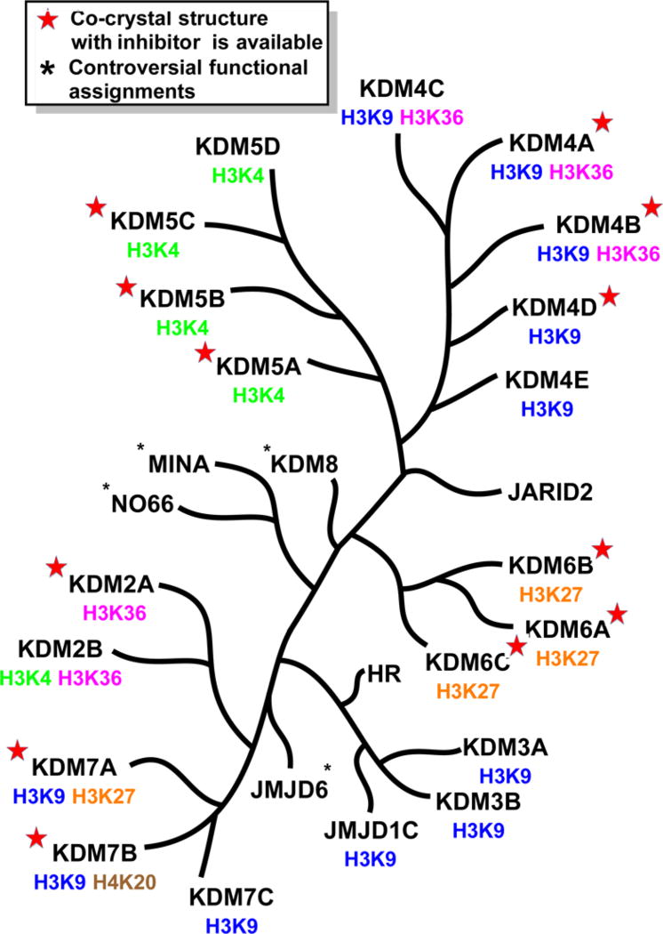 Figure 42