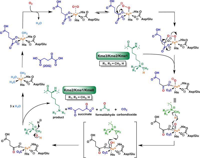 Figure 44