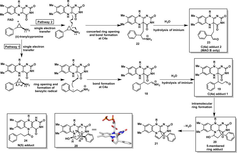 Figure 33