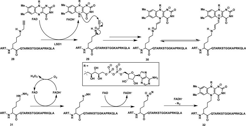 Figure 37