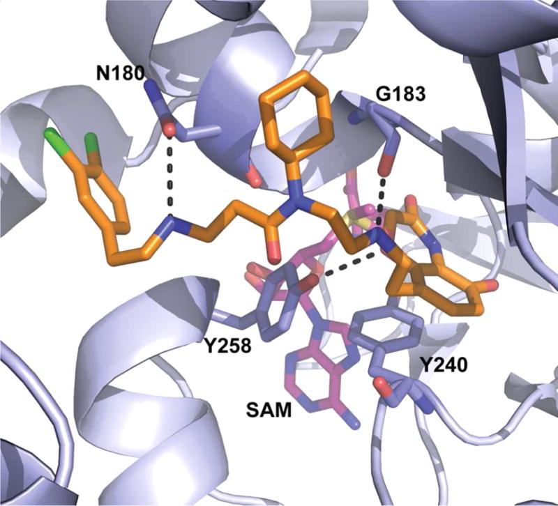 Figure 13