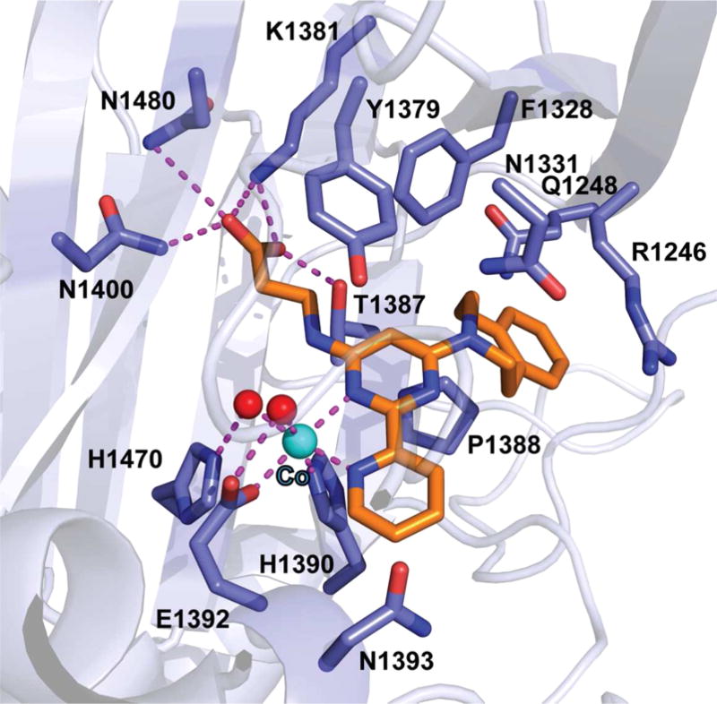 Figure 55