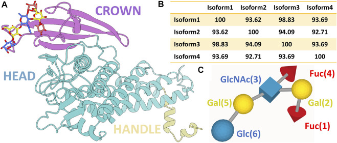 FIGURE 1