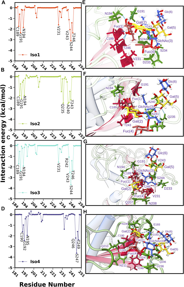 FIGURE 12