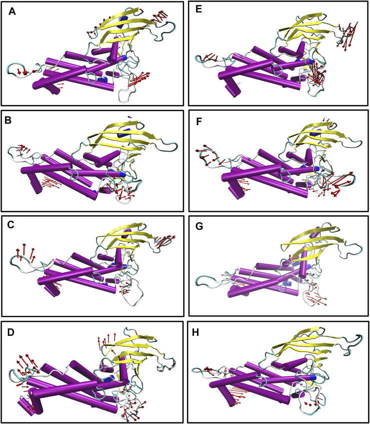 FIGURE 7