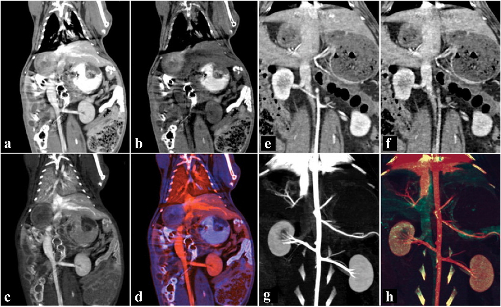 Fig. 14.