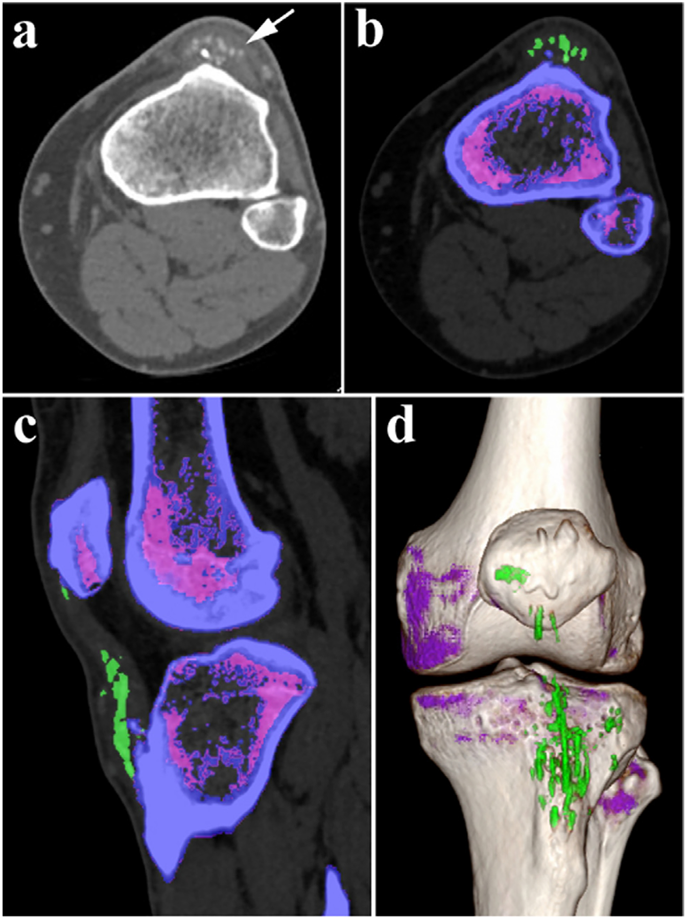 Fig. 5.