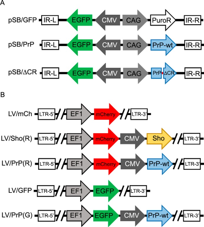 FIGURE 1.