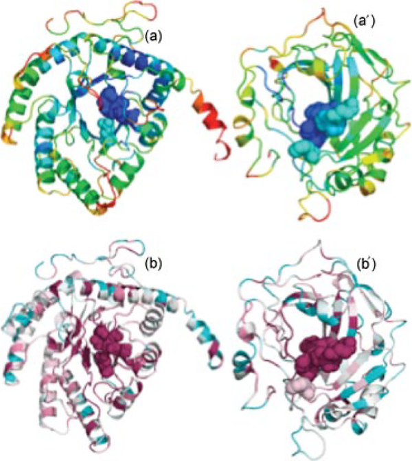 FIGURE 5 |