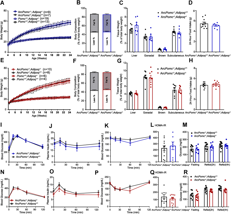 Figure 6