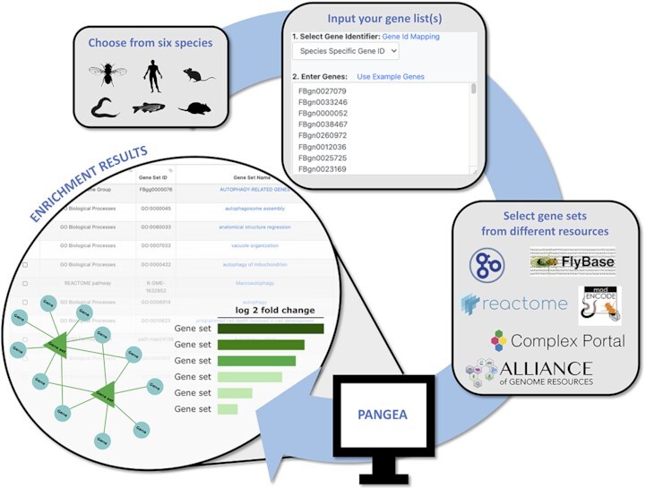 Graphical Abstract