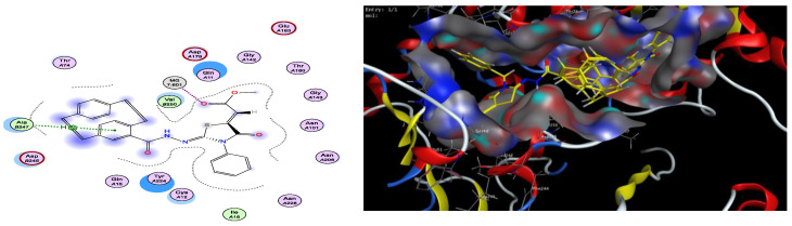 Figure 16