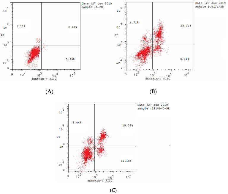 Figure 11