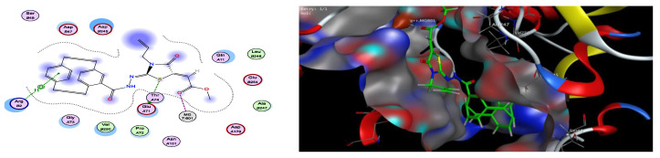 Figure 19