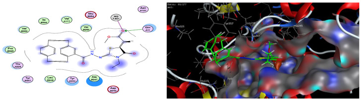 Figure 20