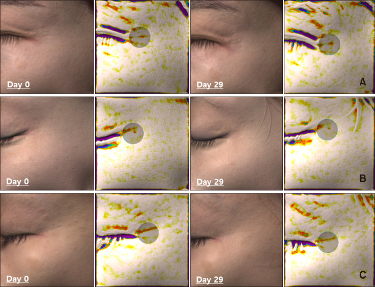 Fig. 7