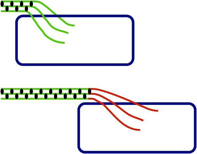 Figure 10.