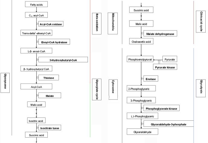 Supplementary Figure 2